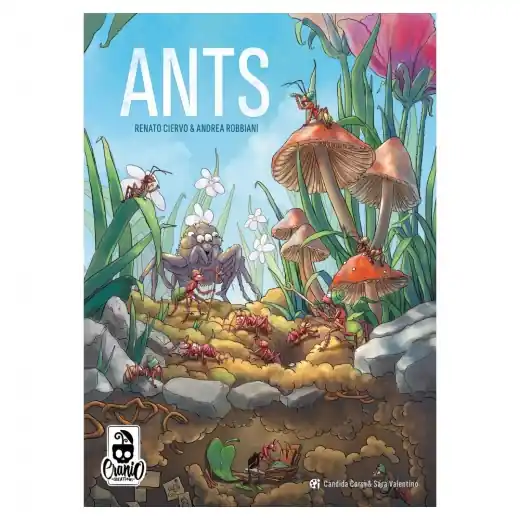Ants | Prissänkt