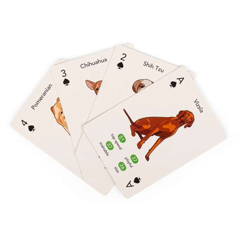 Kikkerland - Paws & Play Playing Cards - (GG274) - Finns i lager