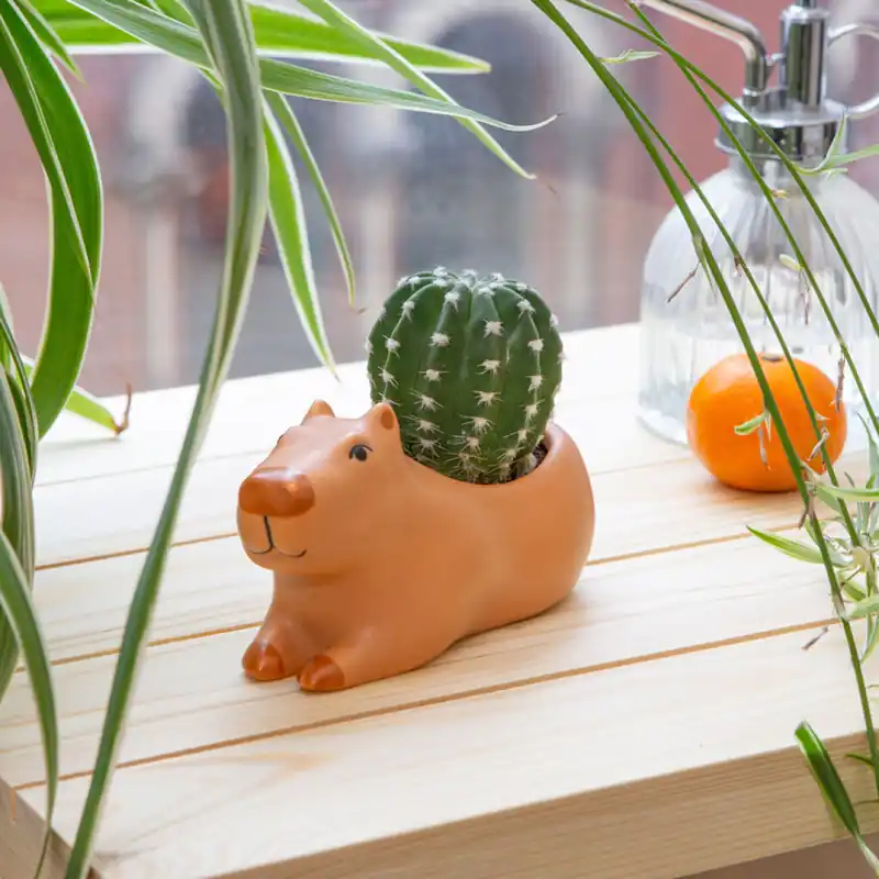 Kikkerland - Cappy the Capybara Planter Small - 4.5" x 2.5" x 2.5" | Gratis retur