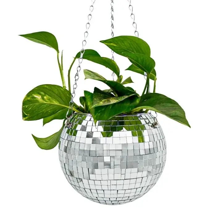 Mikamax - Funky Disco Planter - Populärt just nu