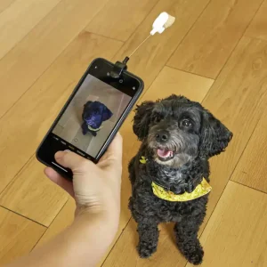 Kikkerland - Dog Treat Selfie Clip (DIG01) | Passa på