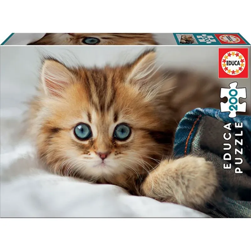 Educa Kitten Puzzle Collection 200st | Spara nu